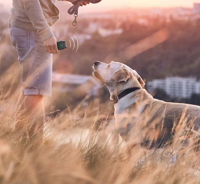 ریموت دور کننده حیوانات اولتراسونیک گرین لاین Green Lion Ultrasonic Pet Shield GL-DT10